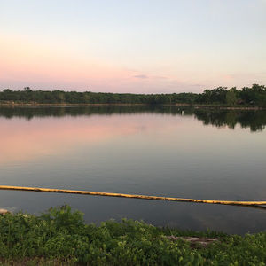 Meet your Posher, Alyshia